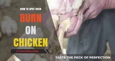 Identifying Hock Burn on Chicken: A Guide to Spotting and Preventing It