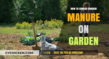 Effective Ways to Apply Chicken Manure for a Thriving Garden