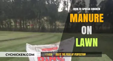 Boost Your Lawn's Health: Effective Chicken Manure Application Tips