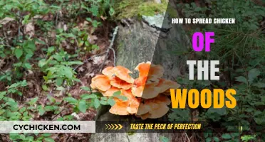 Spreading Chicken of the Woods: Effective Techniques for Cultivation and Growth