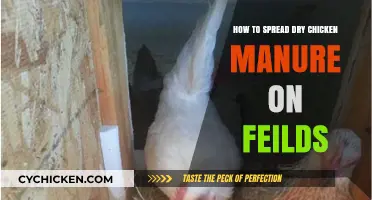Effective Techniques for Applying Dry Chicken Manure to Fields