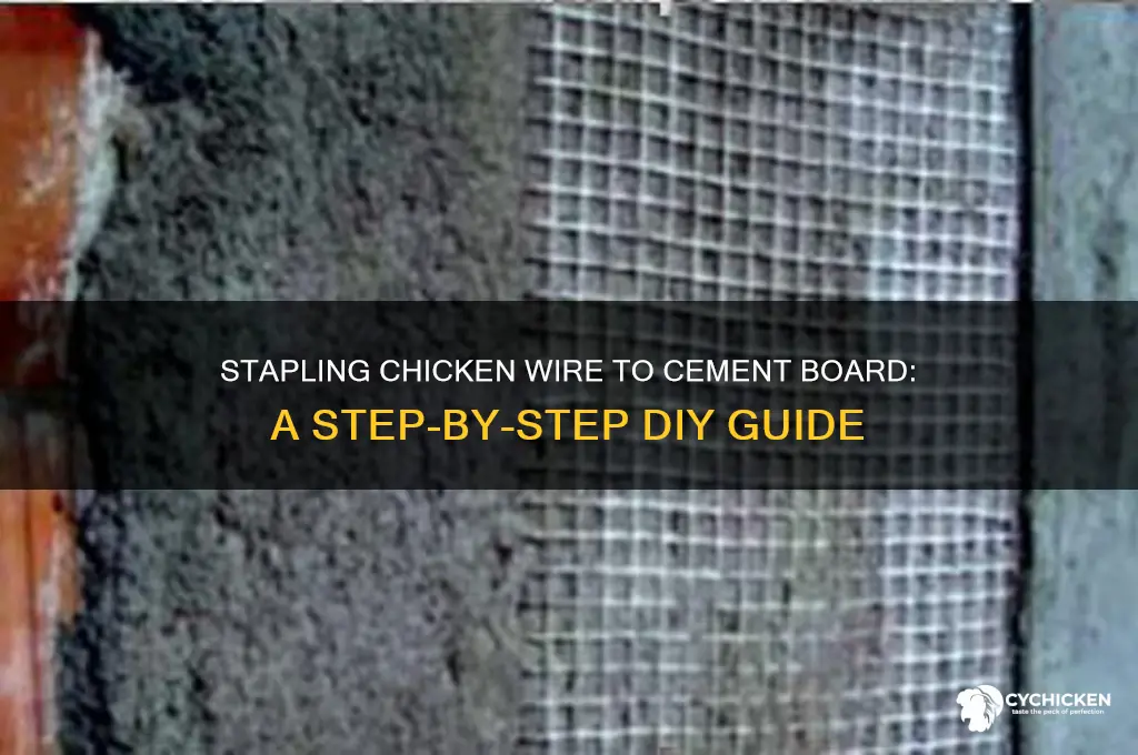 how to staple chicken wire to cement board