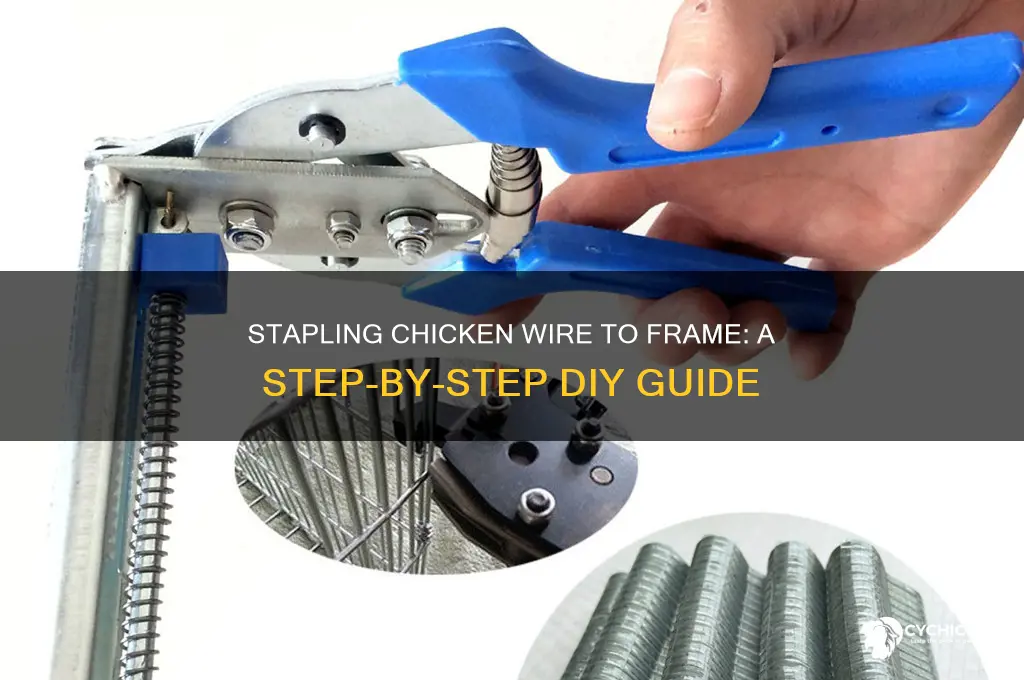 how to staple chicken wire to frame