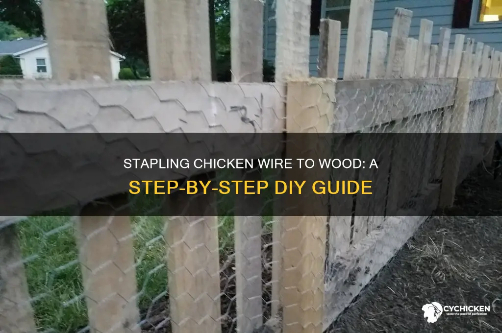 how to staple chicken wire to wood