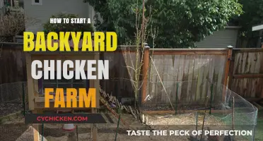 Backyard Chicken Farming: A Beginner's Guide to Raising Happy Hens