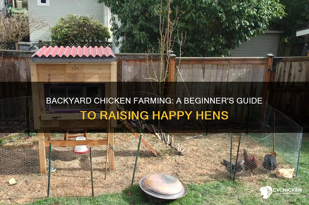 how to start a backyard chicken farm