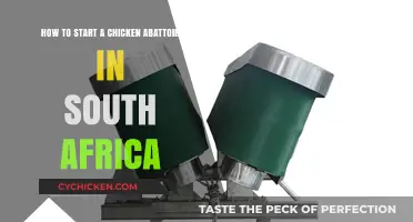 Setting Up a Chicken Abattoir: A South African Guide