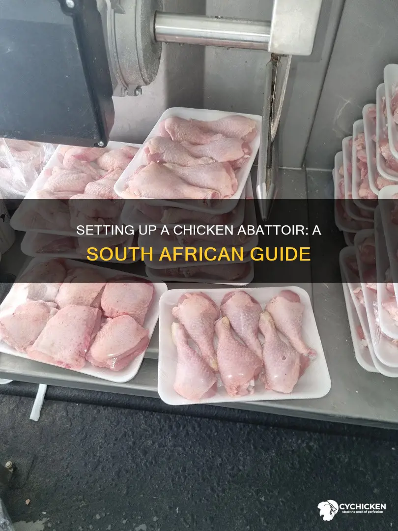 how to start a chicken abattoir in south africa