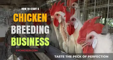 Launching Your Profitable Chicken Breeding Business: A Beginner's Guide
