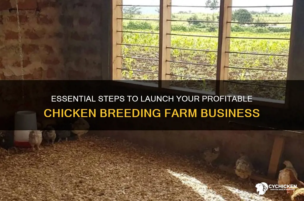 how to start a chicken breeding farm