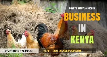 Launching a Profitable Chicken Farming Business in Kenya: A Beginner's Guide