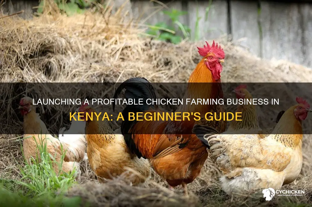 how to start a chicken business in kenya