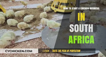 Starting a Chicken Business: A South African Guide