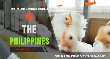 Starting a Chicken Business: Philippines Edition