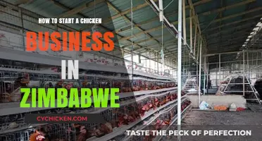 Launching a Profitable Chicken Farming Business in Zimbabwe: A Beginner's Guide