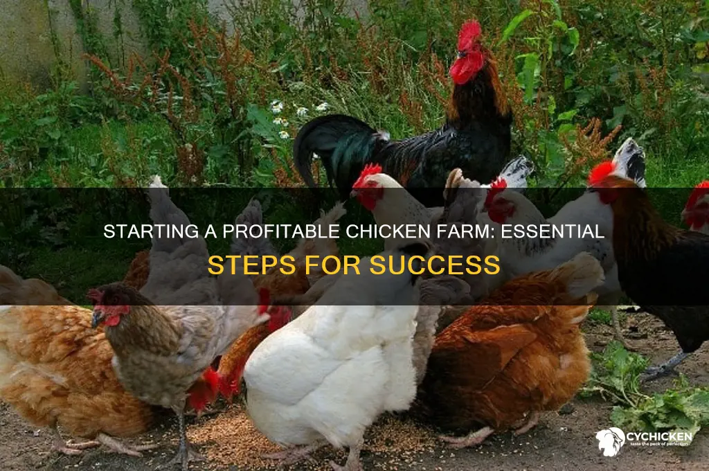 how to start a chicken farm business