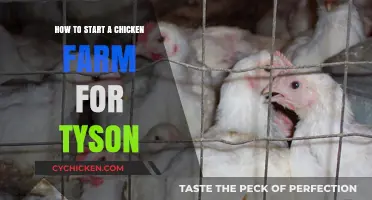 Launching a Successful Tyson-Approved Chicken Farm: A Beginner's Guide