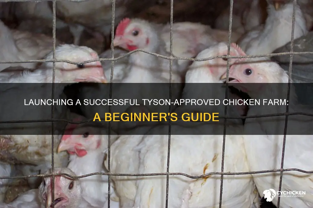 how to start a chicken farm for tyson