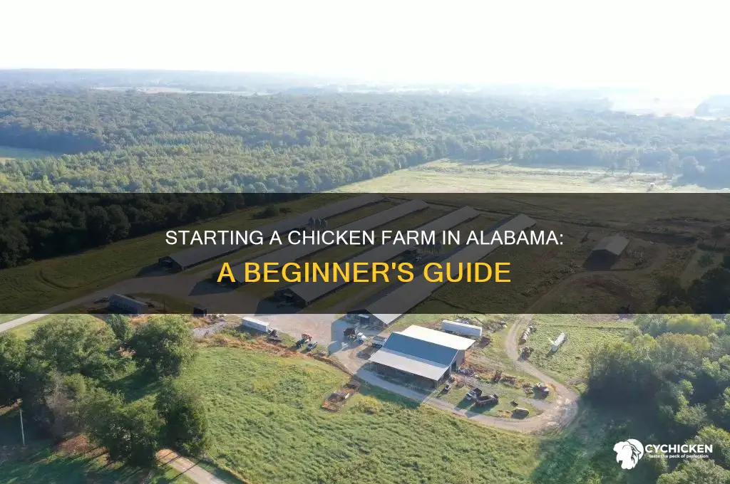 how to start a chicken farm in alabama