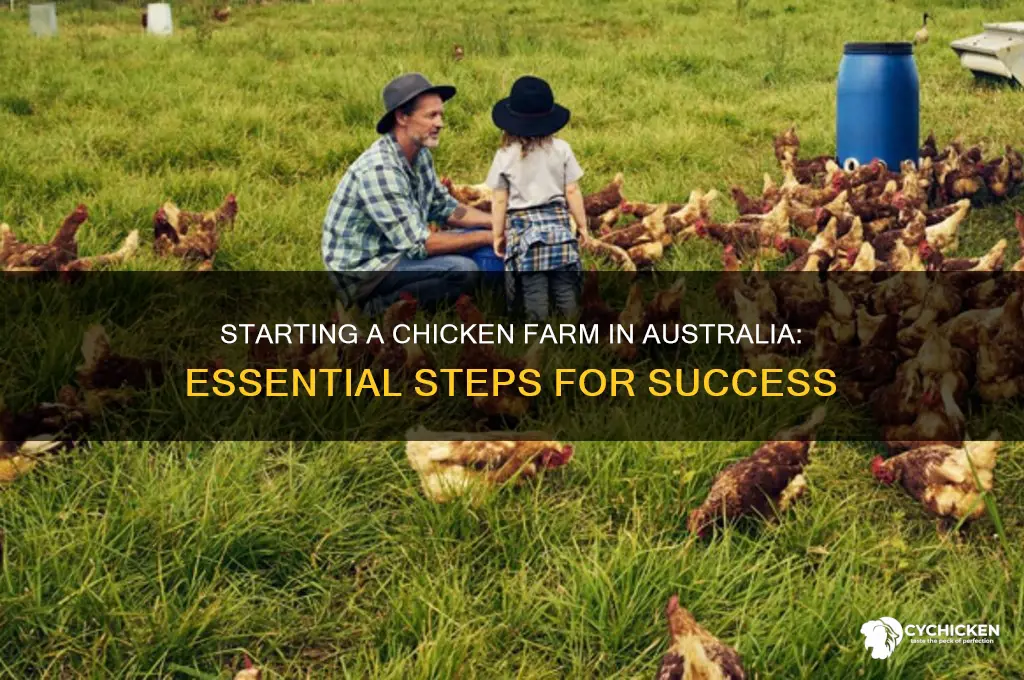 how to start a chicken farm in australia