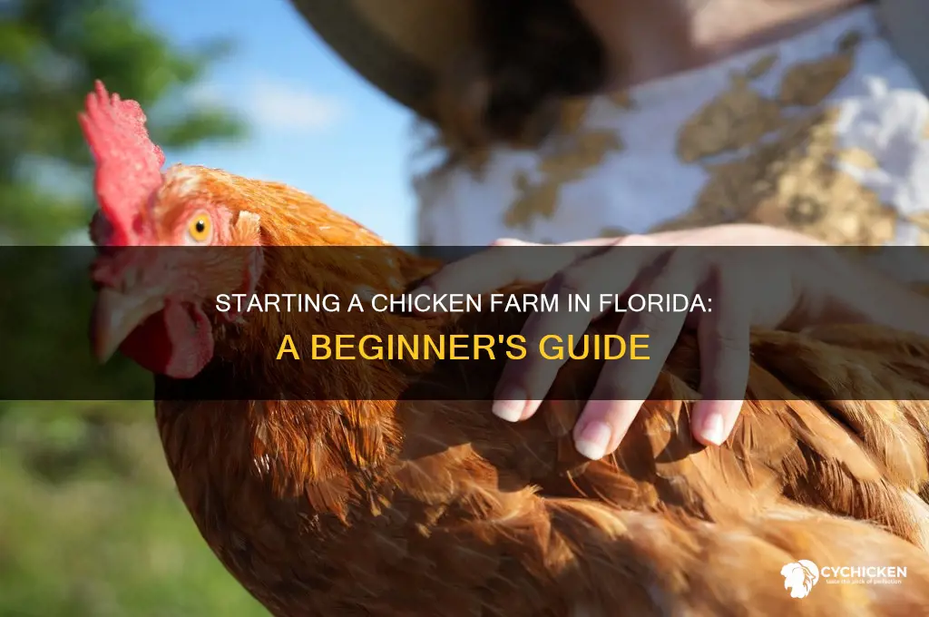 how to start a chicken farm in florida
