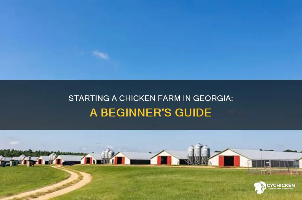 how to start a chicken farm in georgia