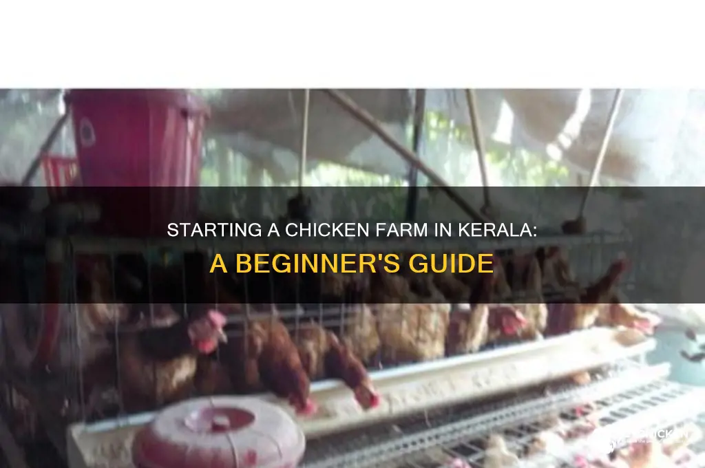 how to start a chicken farm in kerala