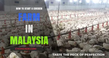 Starting a Chicken Farm in Malaysia: A Beginner's Guide