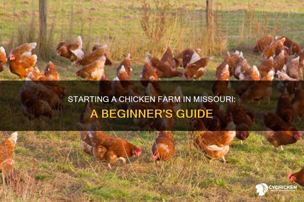 how to start a chicken farm in missouri