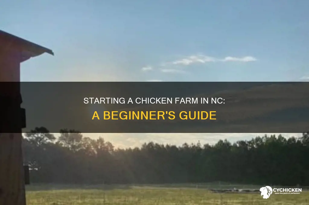 how to start a chicken farm in nc
