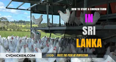 Starting a Chicken Farm: Sri Lanka Edition