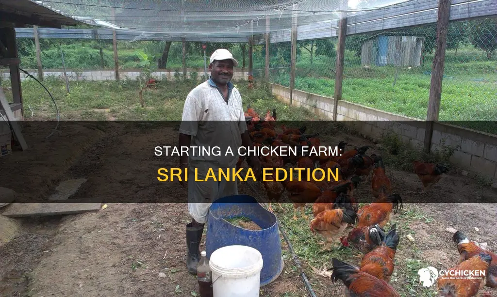 how to start a chicken farm in sri lanka
