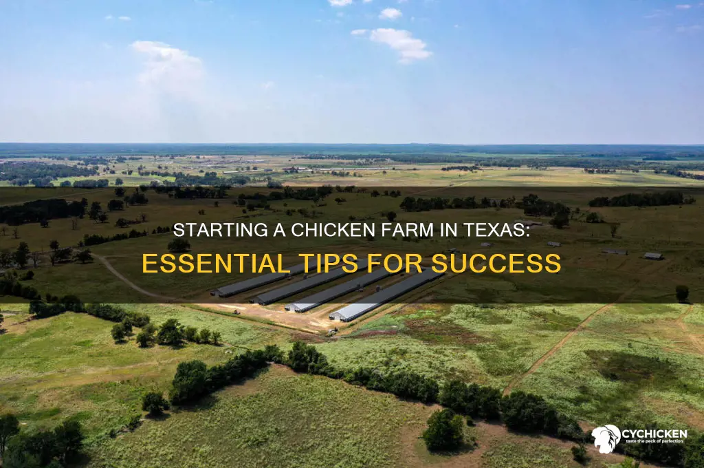 how to start a chicken farm in texas
