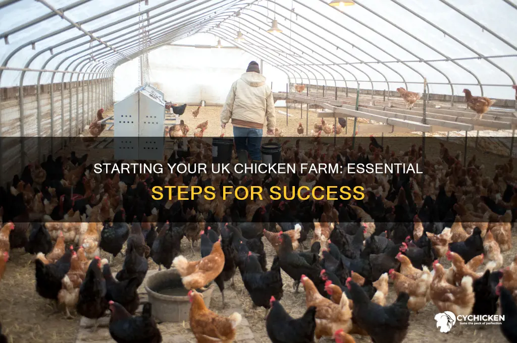 how to start a chicken farm uk