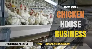 Launching Your Profitable Chicken House Business: A Beginner's Guide