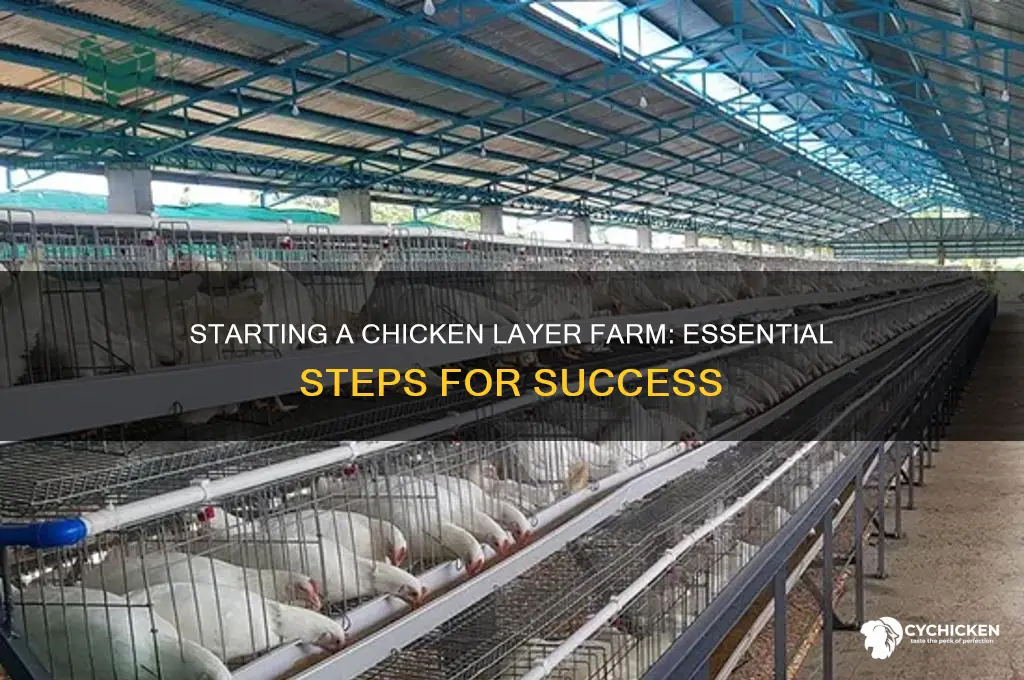 how to start a chicken layer farm
