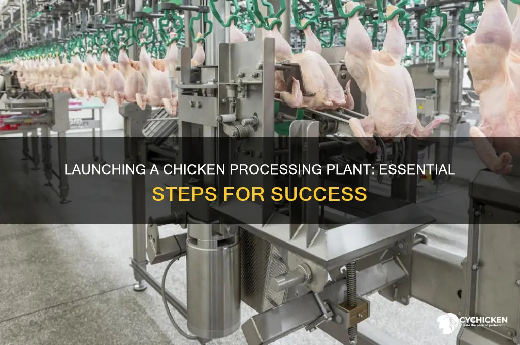 how to start a chicken processing plant