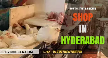 Launching Your Chicken Shop in Hyderabad: A Step-by-Step Guide