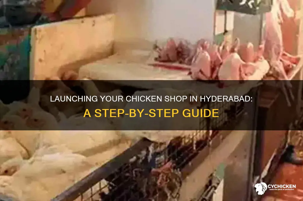 how to start a chicken shop in hyderabad
