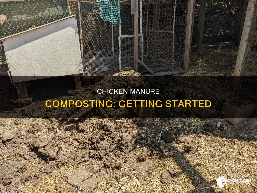 how to start a compost pile with chicken manure