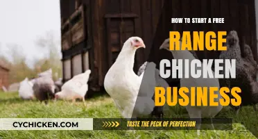 Launching Your Free Range Chicken Business: A Beginner's Guide