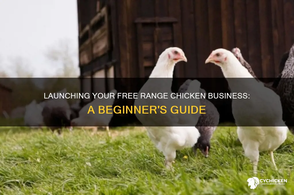 how to start a free range chicken business