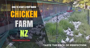 Free-Range Chicken Farming: A Guide to Getting Started in NZ