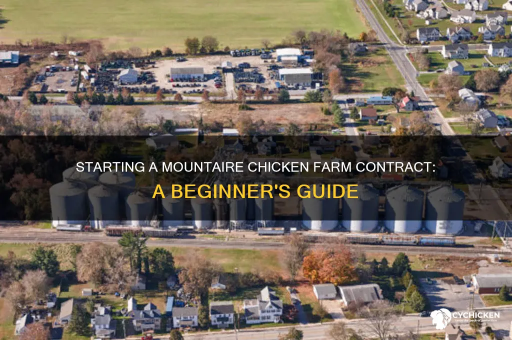 how to start a mountaire chicken farm contract
