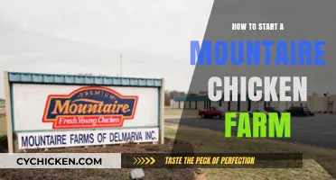 Starting Your Mountaire Chicken Farm: A Beginner's Comprehensive Guide