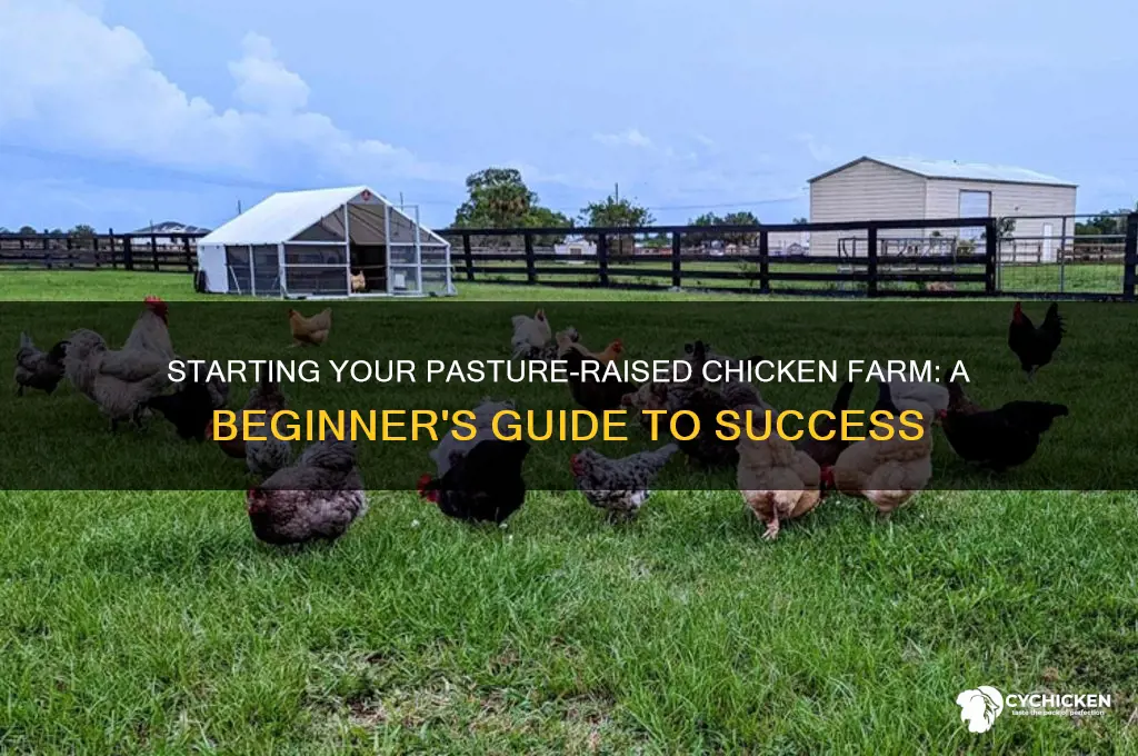 how to start a pasture raised chicken farm