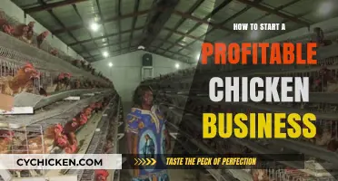Profitable Chicken Farming: A Step-by-Step Guide to Starting Your Business
