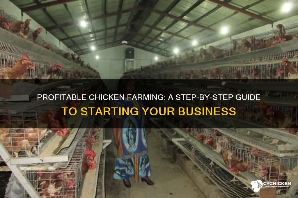 how to start a profitable chicken business