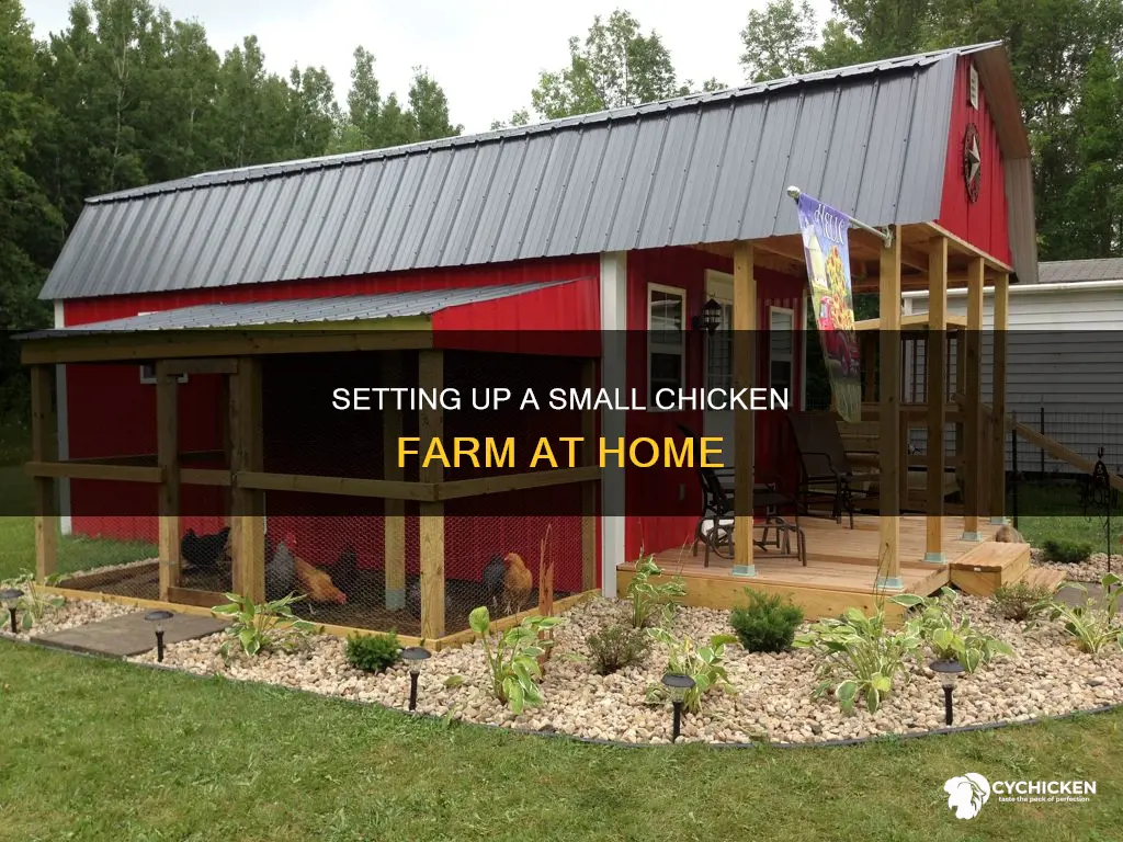 how to start a small chicken farm at home