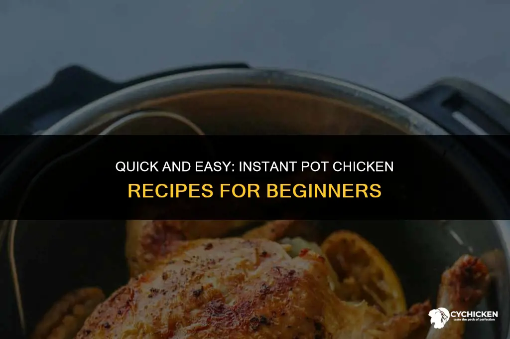 how to start an instant pot for chicken